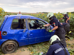 Autó hajtott napraforgótáblába