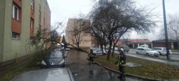 Katasztrófavédelem