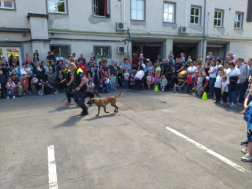 Katasztrófavédelem