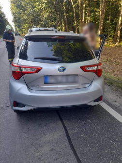 Katasztrófavédelem
