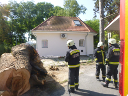 Katasztrófavédelem