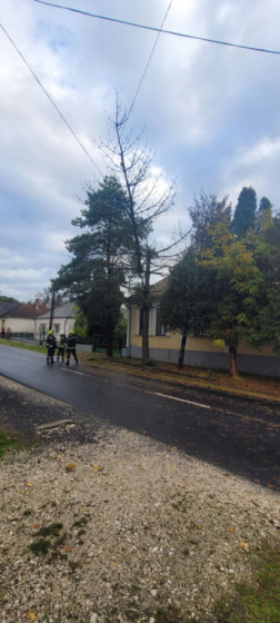 Katasztrófavédelem