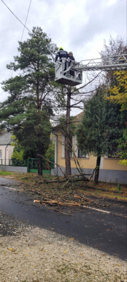 Katasztrófavédelem