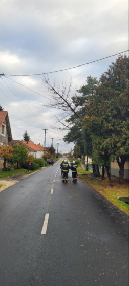 Katasztrófavédelem
