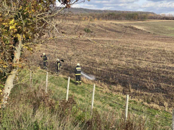 Katasztrófavédelem