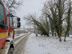 Elektromos vezetékre dőlt fát távolítanak el a tűzoltók.