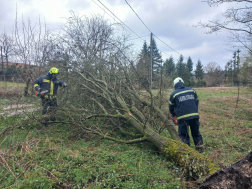 viharos beavatkozások