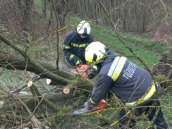 viharos beavatkozások