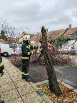 viharos beavatkozások