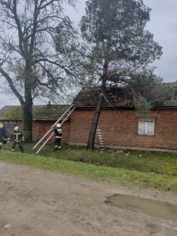 viharos beavatkozások