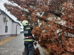 viharos beavatkozások