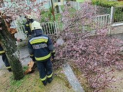 viharos beavatkozások