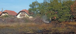 képek