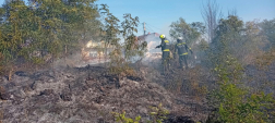 képek