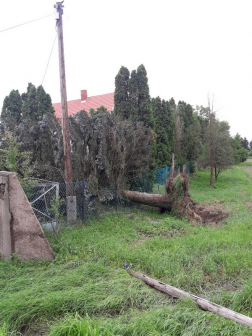 Katasztrófavédelem
