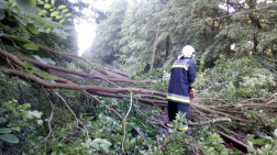 Katasztrófavédelem