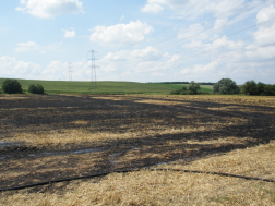 Katasztrófavédelem