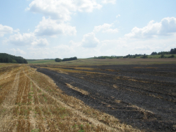 Katasztrófavédelem