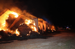 Katasztrófavédelem