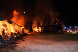 Katasztrófavédelem