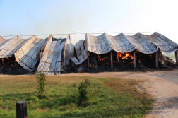 Katasztrófavédelem