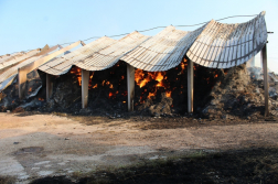 Katasztrófavédelem