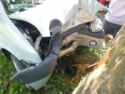 Katasztrófavédelem