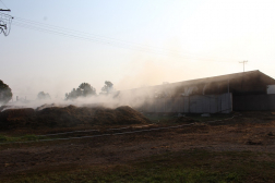 Katasztrófavédelem