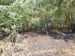 Katasztrófavédelem