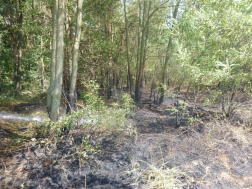 Katasztrófavédelem