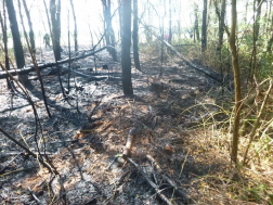 Katasztrófavédelem