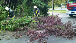 Katasztrófavédelem