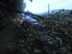 Katasztrófavédelem