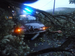 Katasztrófavédelem