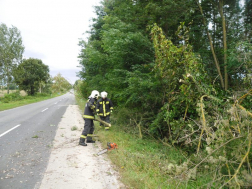 Katasztrófavédelem