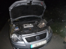 Katasztrófavédelem