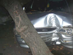 Katasztrófavédelem