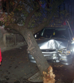 Katasztrófavédelem