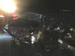 Katasztrófavédelem