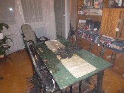 Katasztrófavédelem