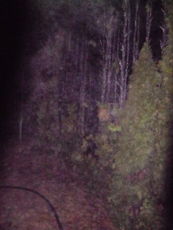 Katasztrófavédelem