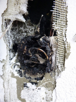 Katasztrófavédelem