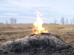 Katasztrófavédelem