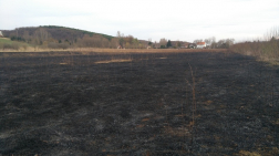 Katasztrófavédelem