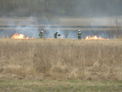 Katasztrófavédelem