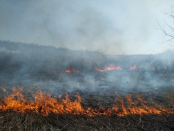 Katasztrófavédelem