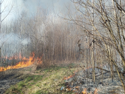 Katasztrófavédelem