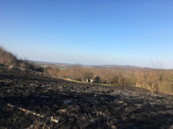 Katasztrófavédelem