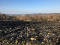 Katasztrófavédelem