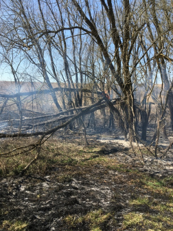 Katasztrófavédelem